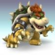 bowser85