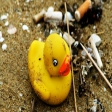 rubberduck