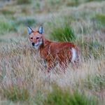 josemibaena_fotografia