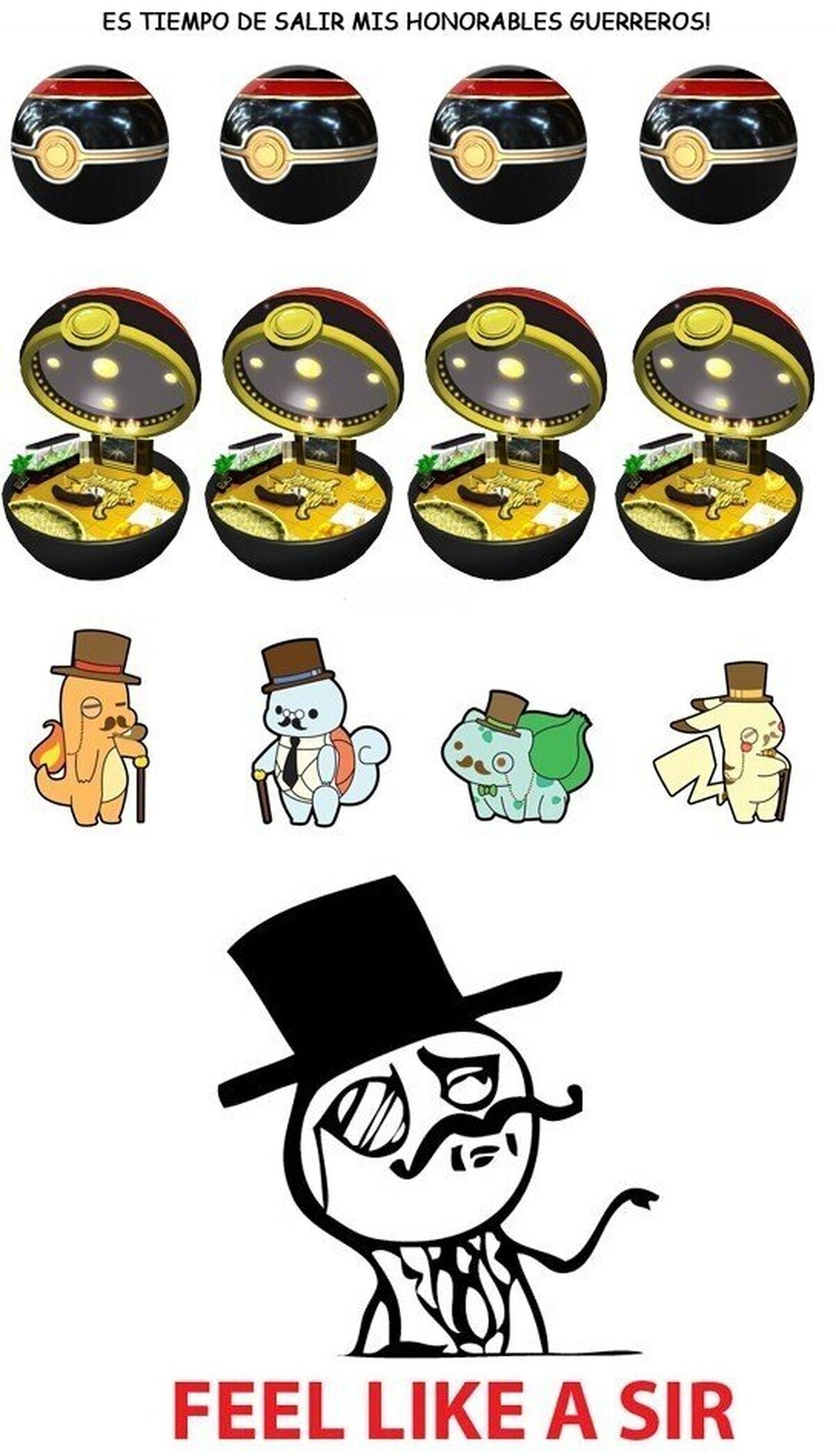Don Pikachu, ¡le elijo a usted!