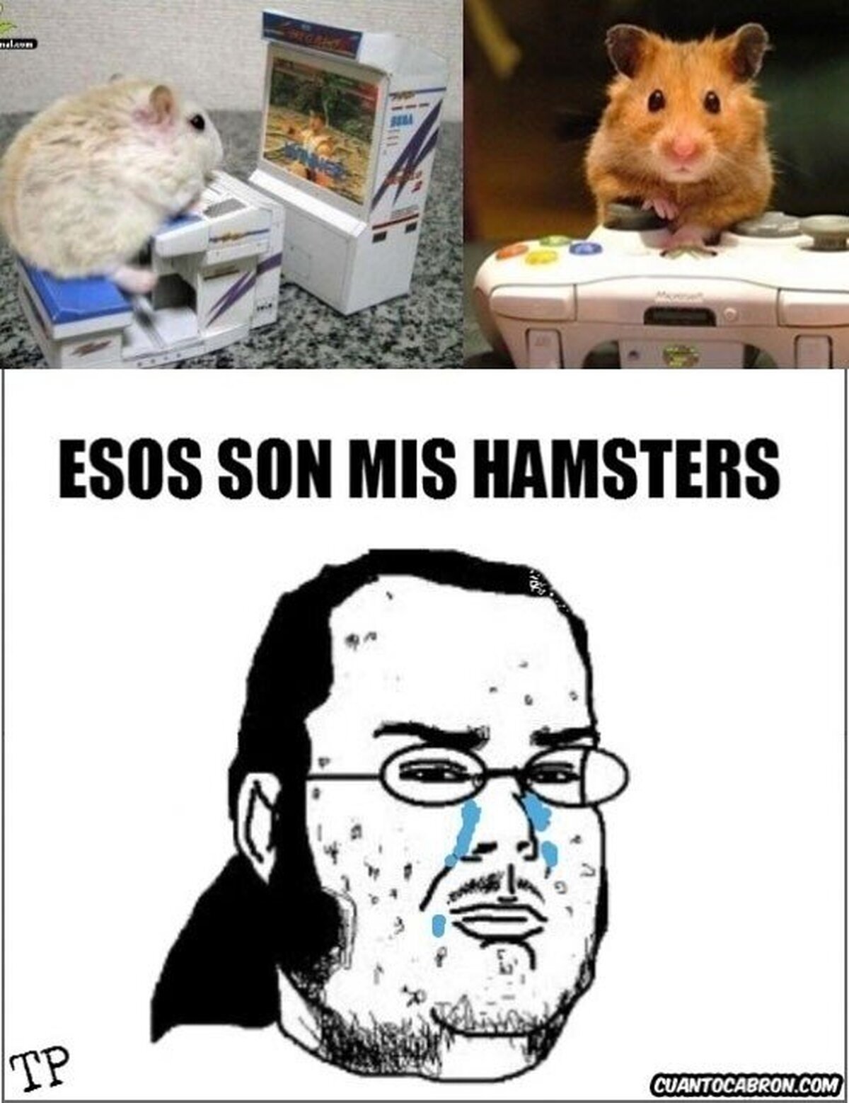 De tal palo tal astilla