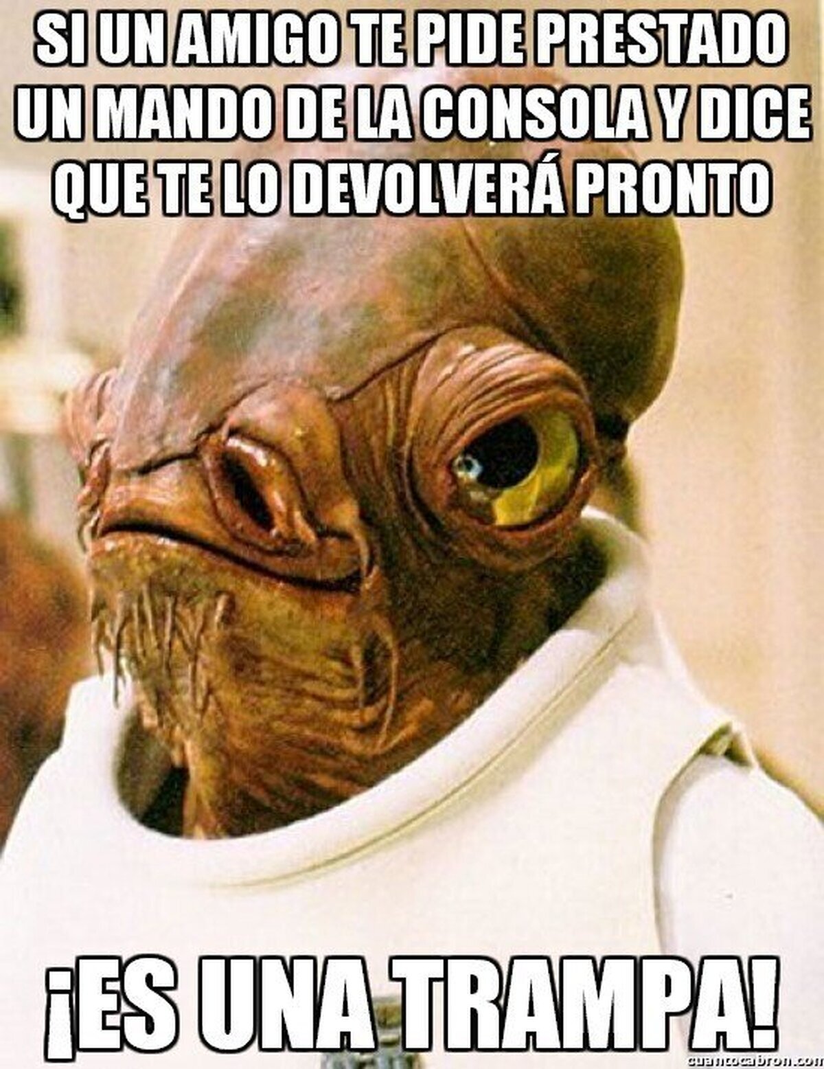Si lo dejas, ya lo has visto suficiente