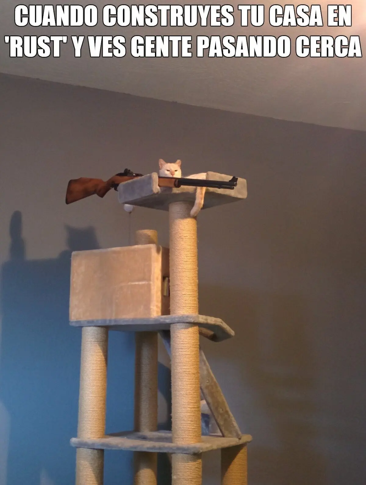 Rust me ha hecho muy desconfiado