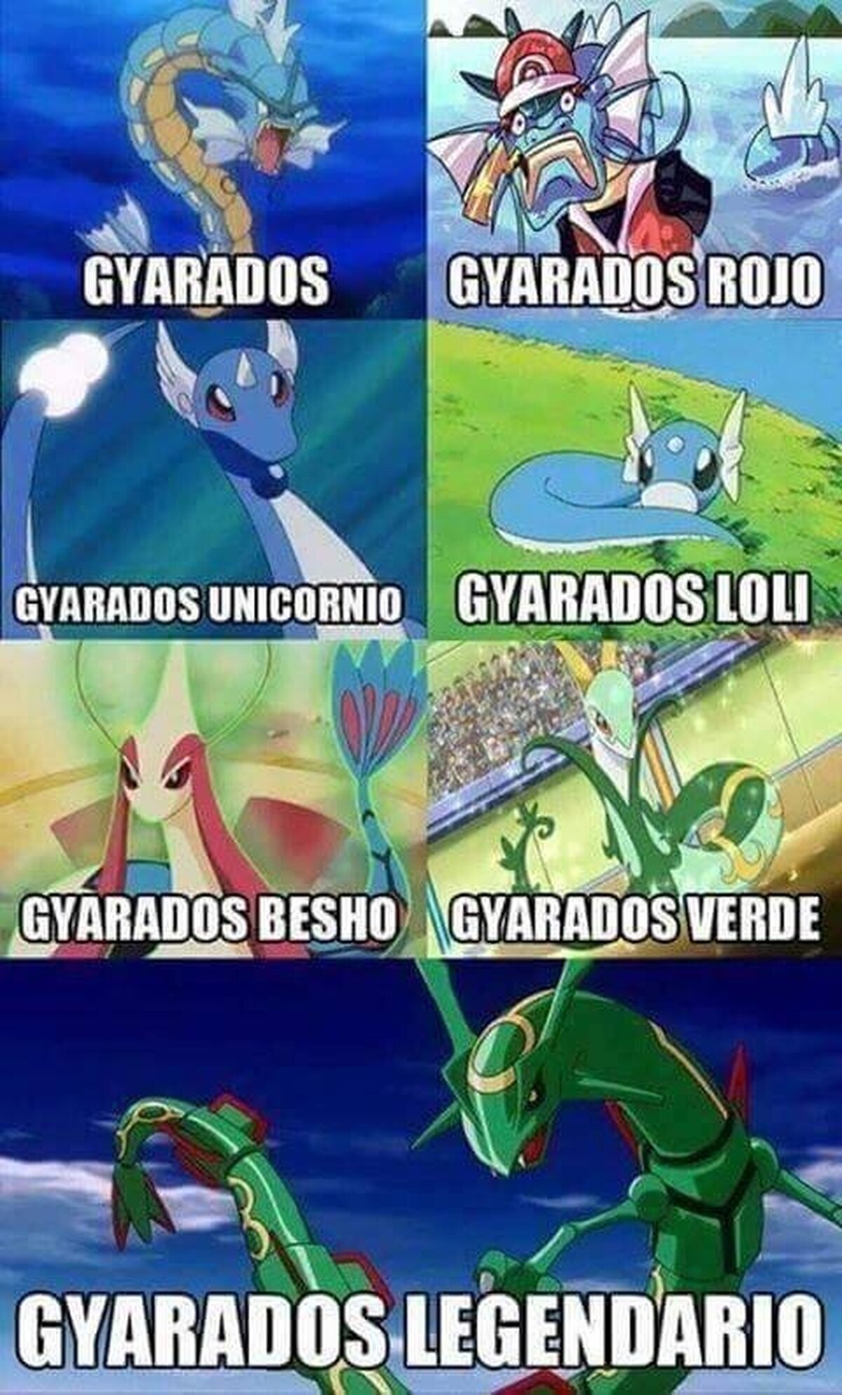 ¡Con ustedes todas las versiones de Gyarados!