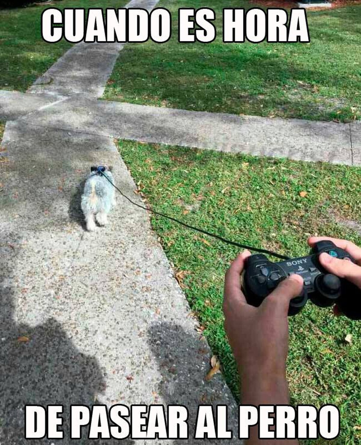 Algunos están tan obsesionados con los juegos que...