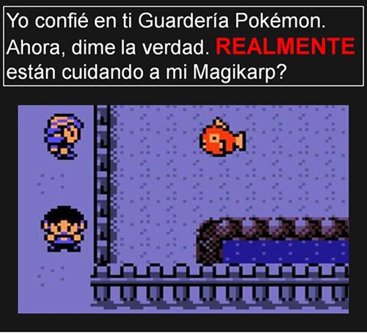 Creo que no es muy sano eso de que esté fuera del agua...