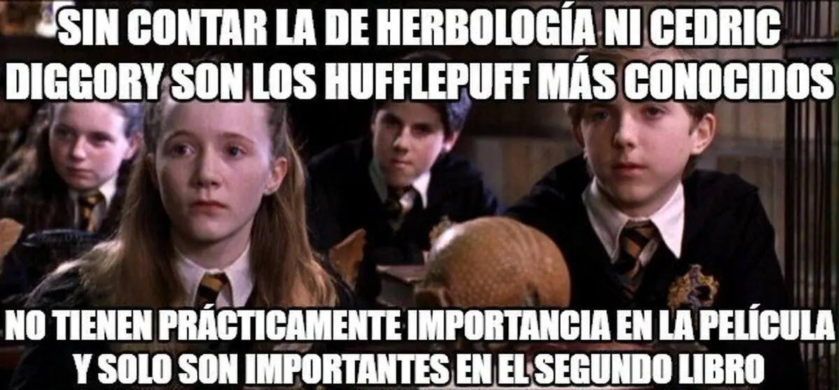 Sin contar la de herbología ni Cedric Diggory son los Hufflepuff más conocidos