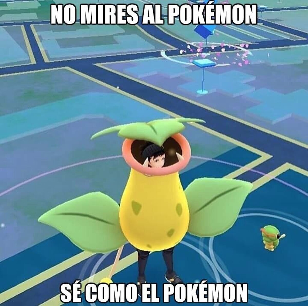 Viviendo Pokémon Go en primera persona