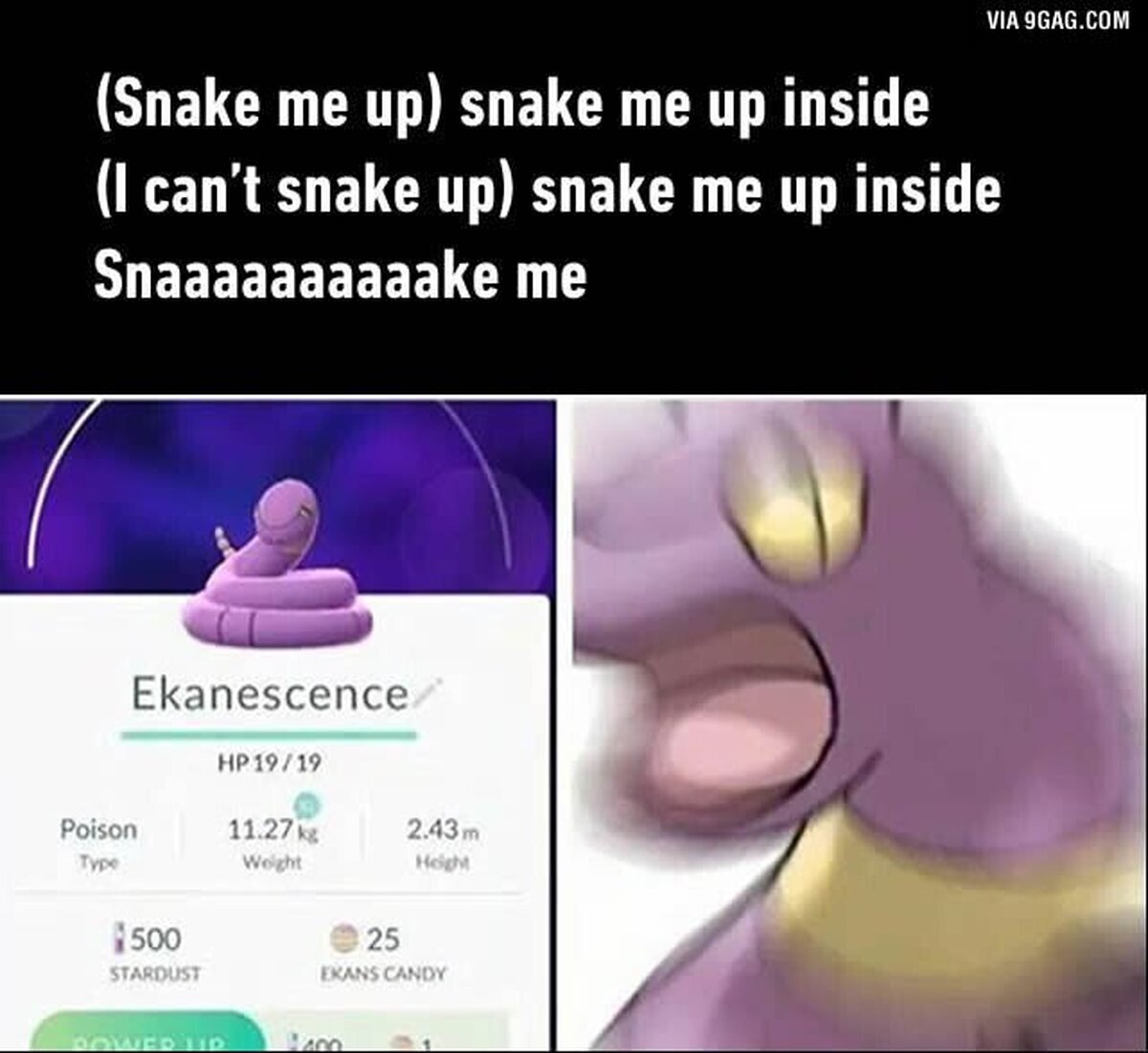 Snake me up inside