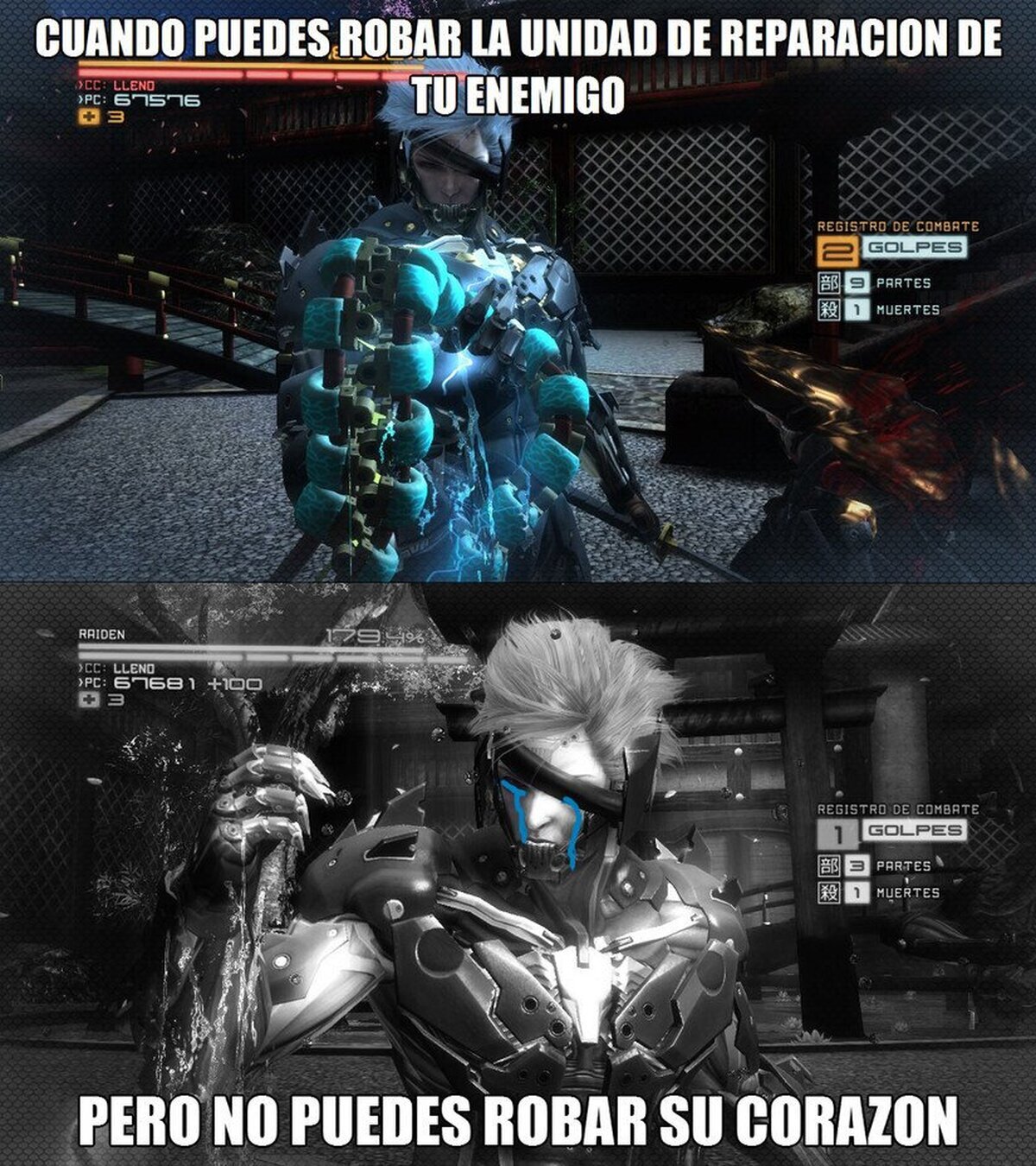 Pobre Raiden