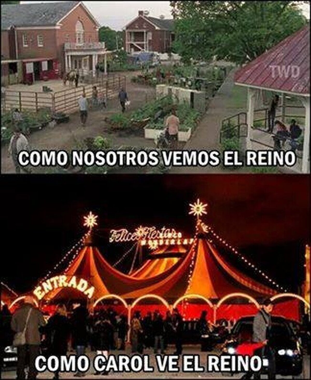 Carol y su particular forma de ver las cosas