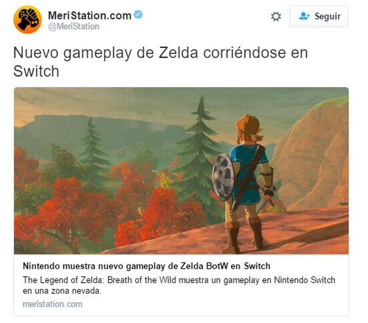 Esta zelda es una cochinota