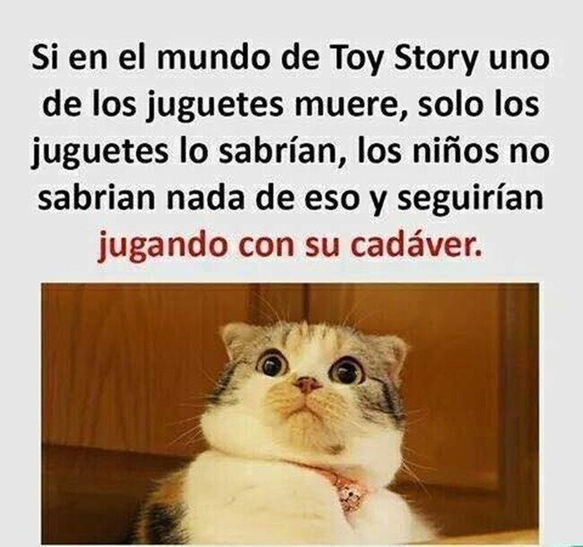 Pensar esas cosas es muy chungo