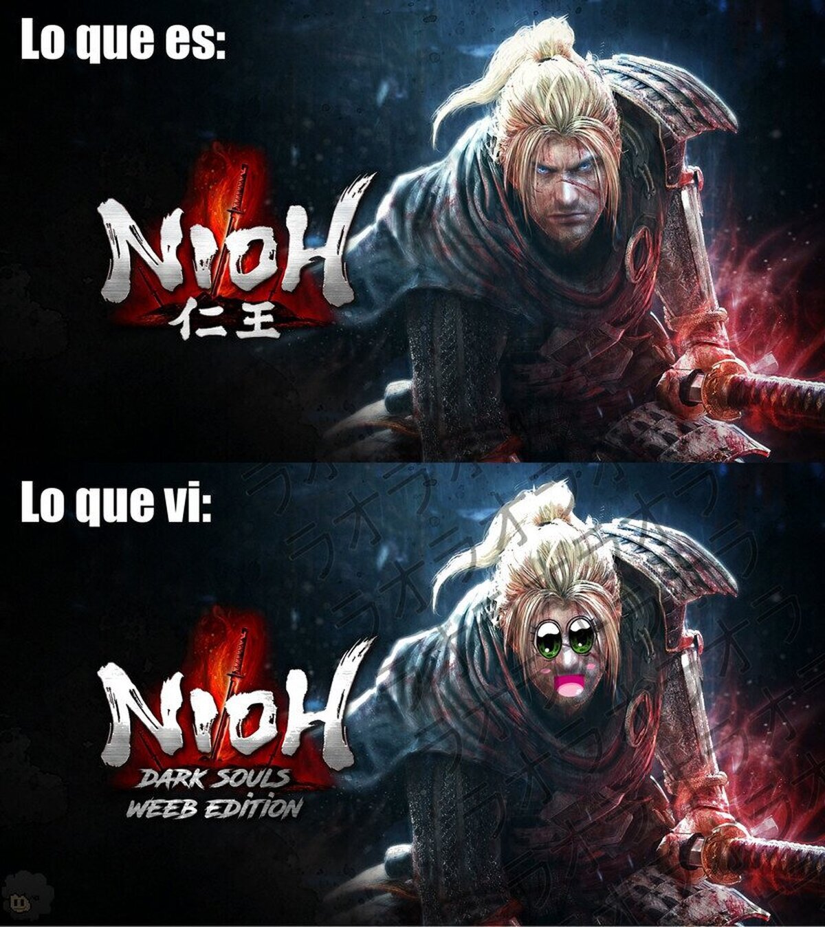 Lo que a muchos nos dice Nioh