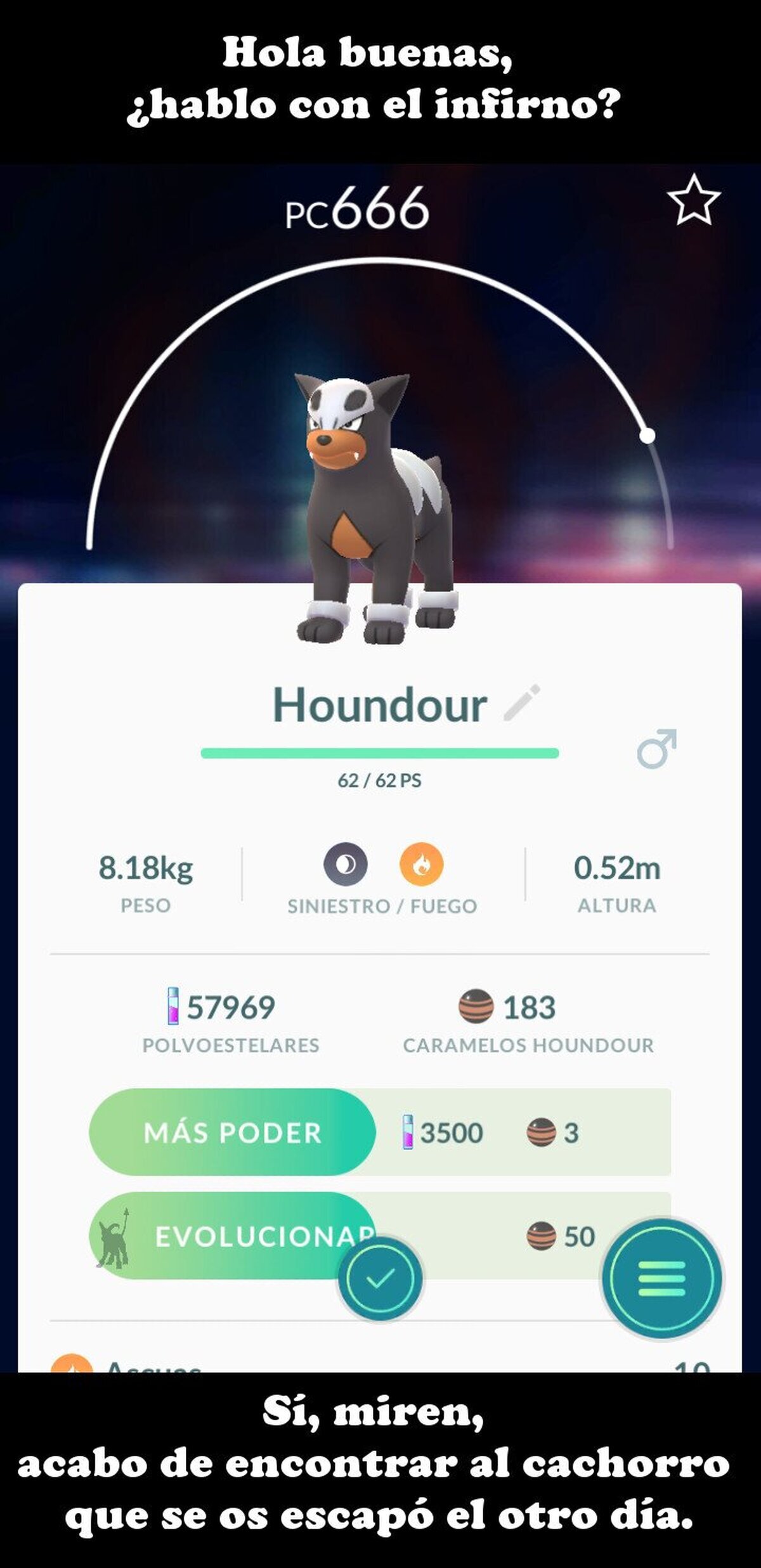 Hola buenas, llamaba por lo del perro perdido