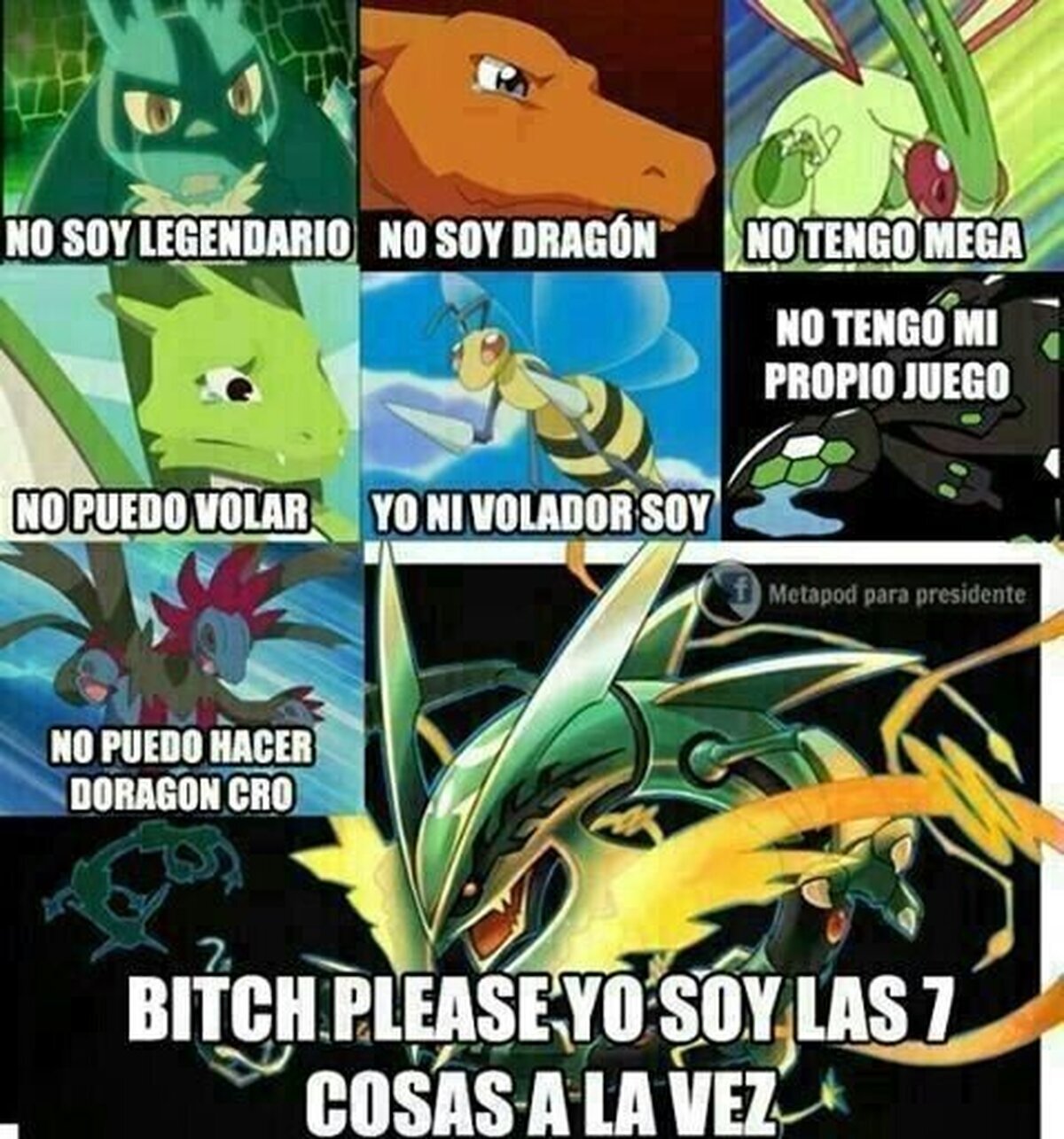 Soy el maldito Rayquaza veneradme!!!