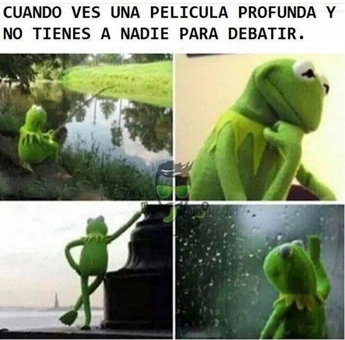 Y se la recomiendas a todo el mundo que conoces