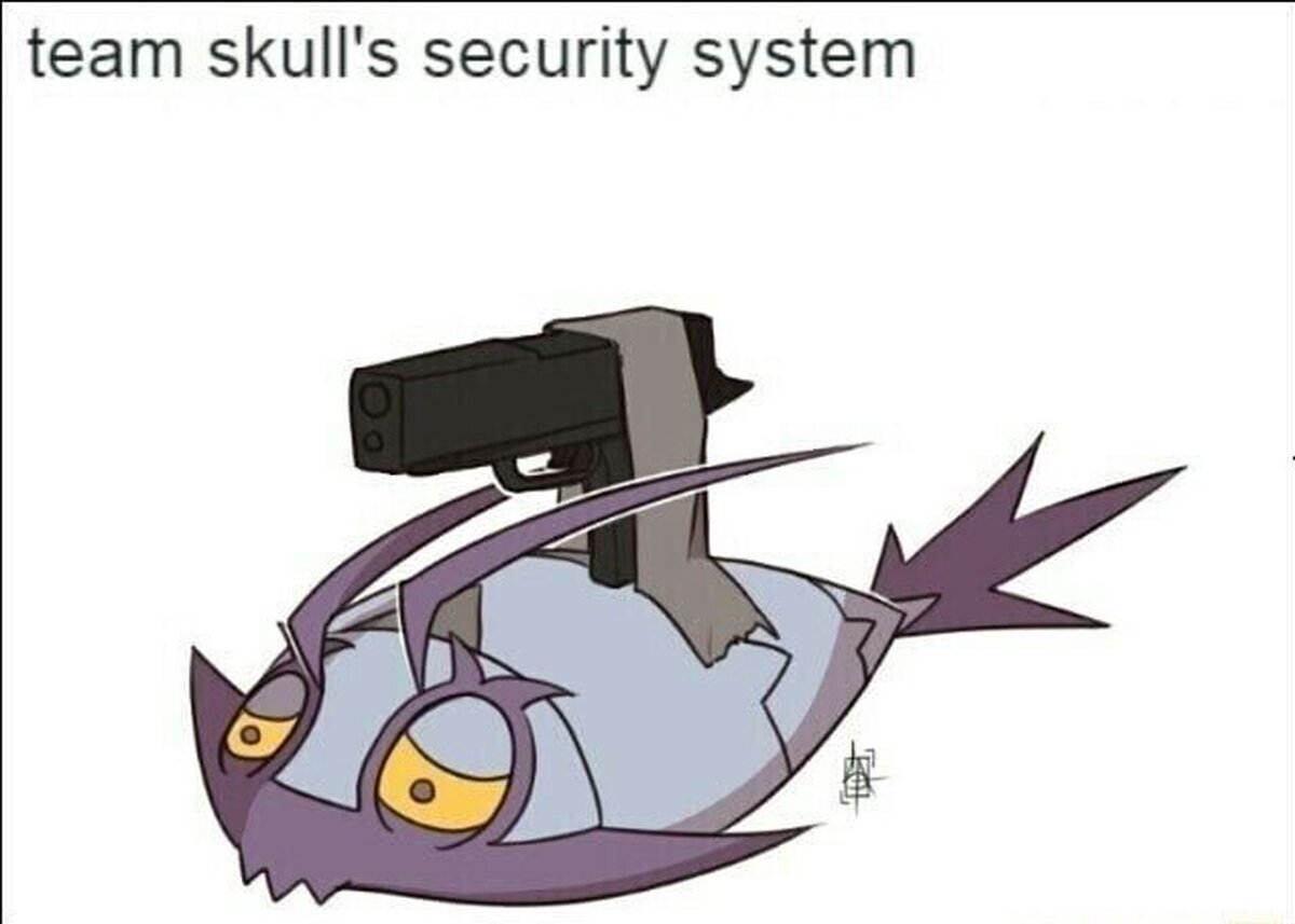 El nuevo sistema de seguridad del team skull 