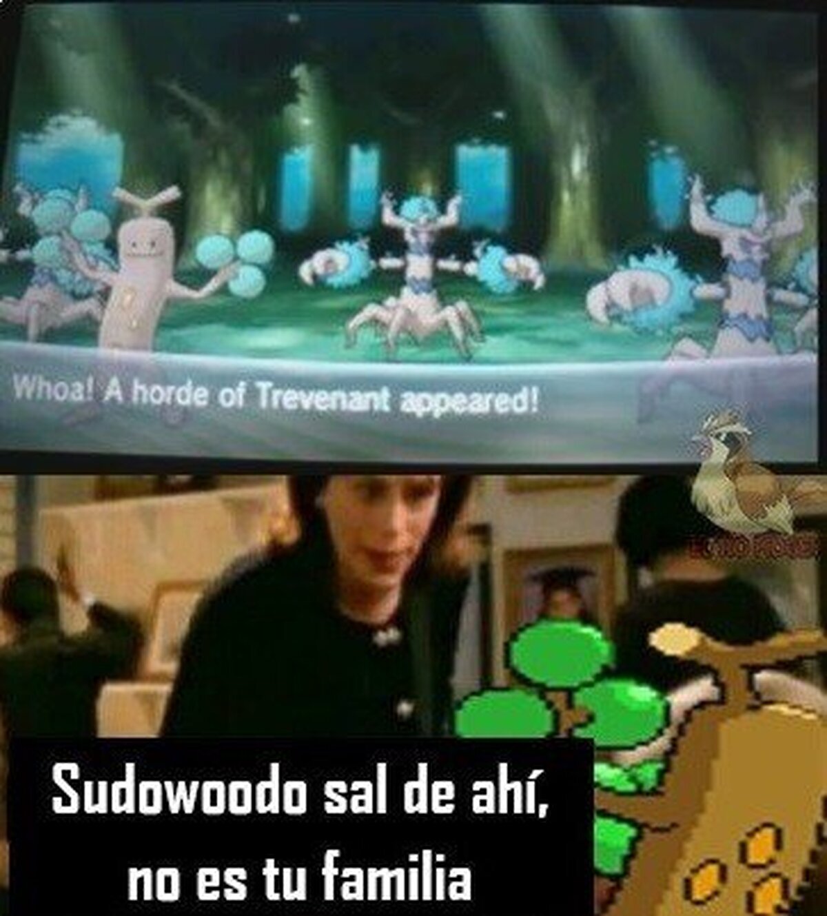 No puedes ser un arbol si eres debil ante el agua...