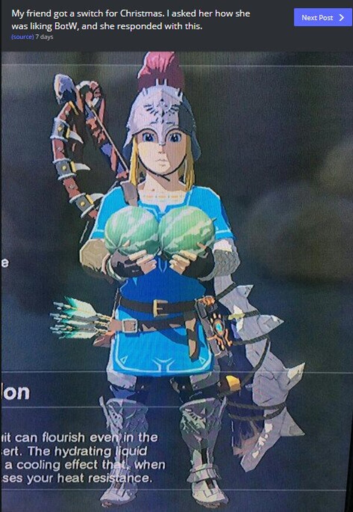 Mi amiga consiguió una Switch por Navidad. Le pregunté que si le estaba gustando BotW y me respondió