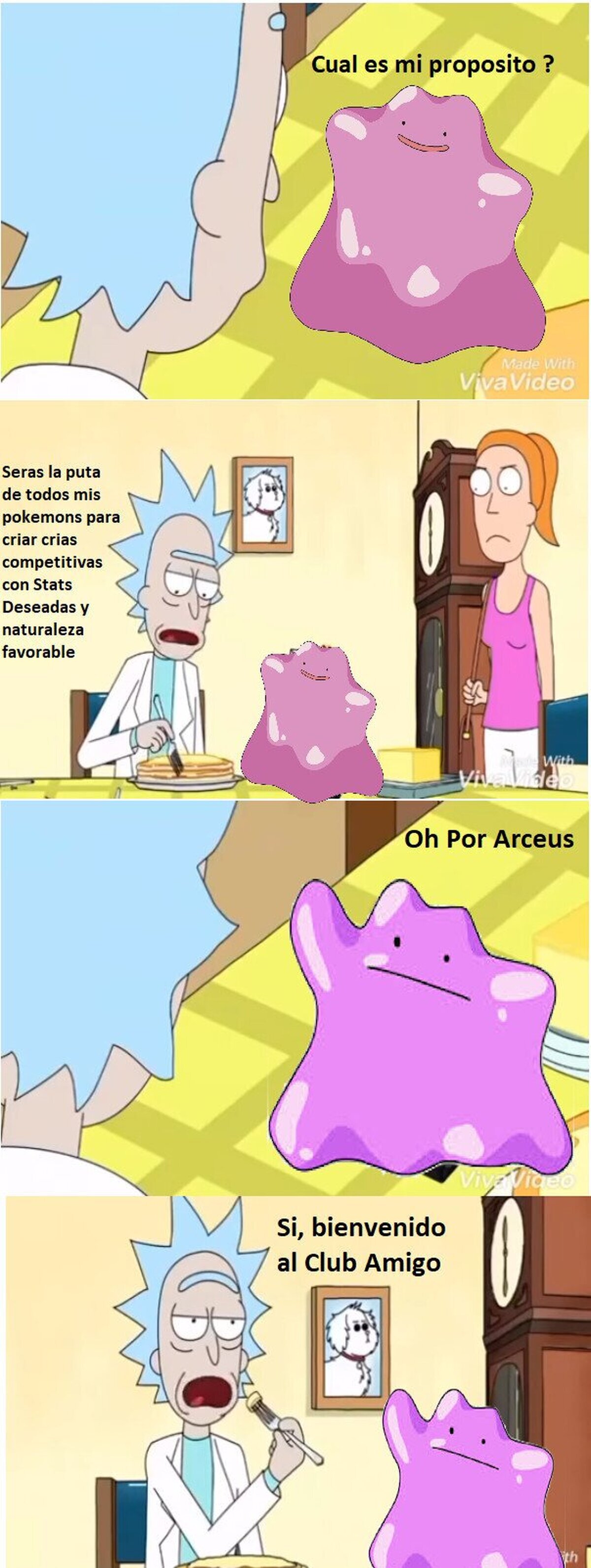 El único propósito de Ditto 