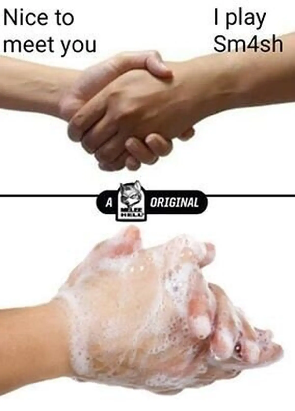 Cuando un jugador de melee conoce a uno de sm4sh