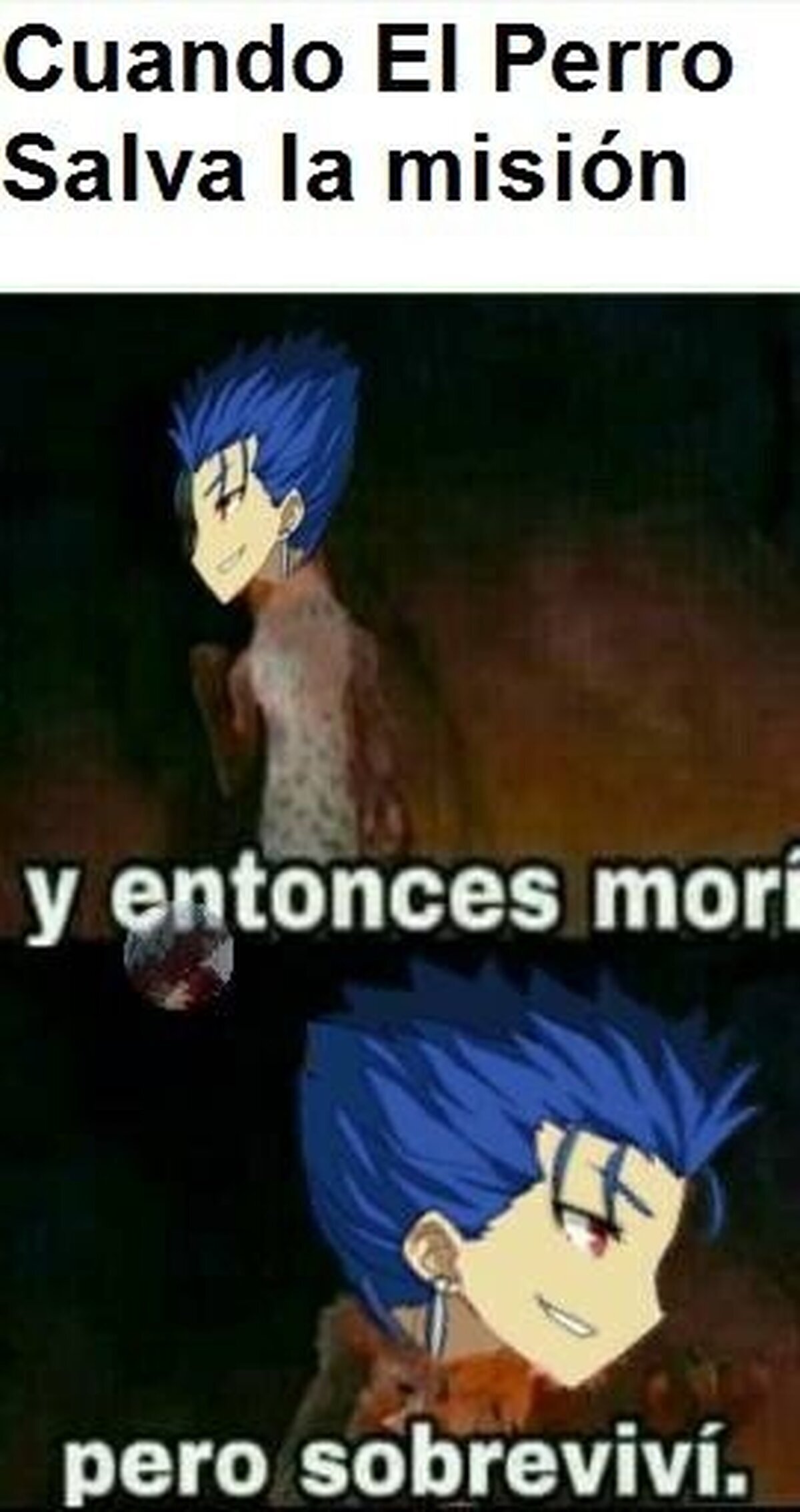 Cu Chulainn haciendo uso de sus habilidades