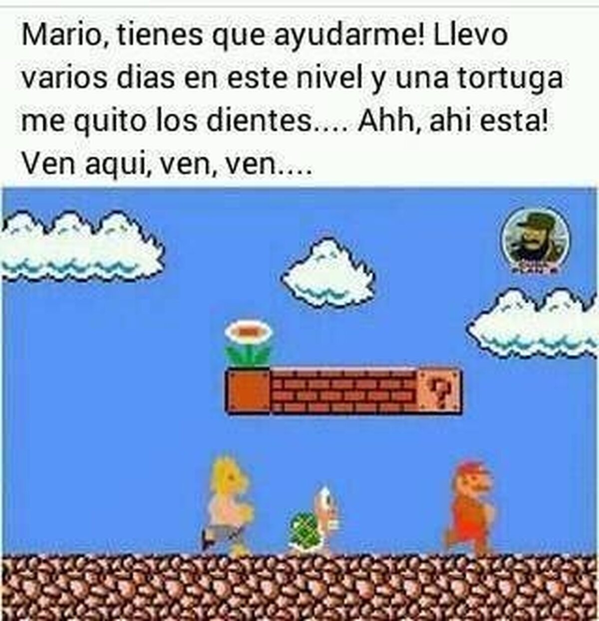 Me rei por que entendi la referencia
