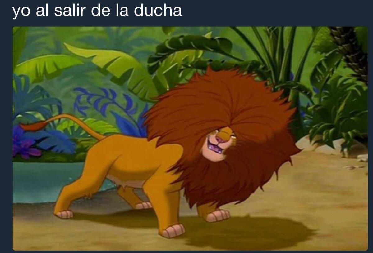 Cuando no utilizas el secador