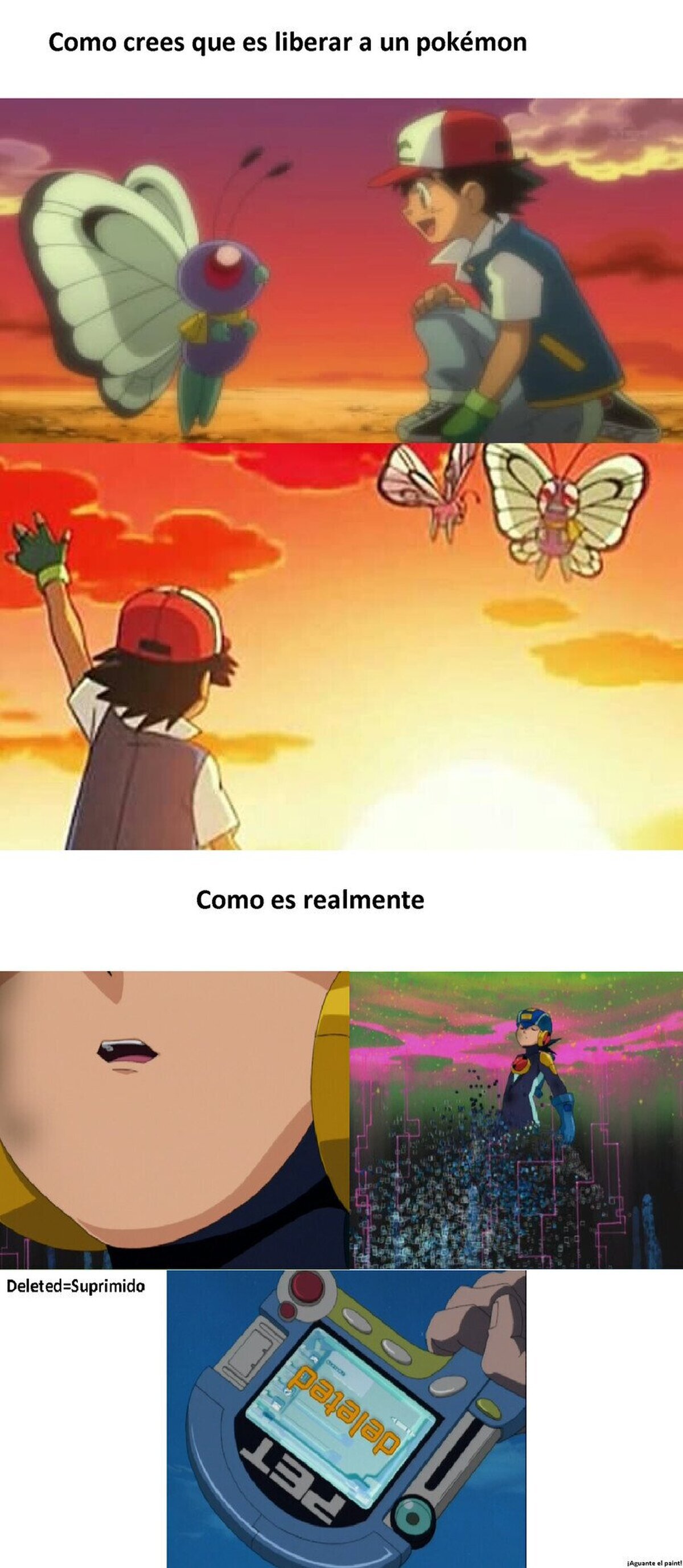 Los datos de cada Pokémon son únicos, al liberarlos, los estás suprimiendo, no volverás a ver a ning