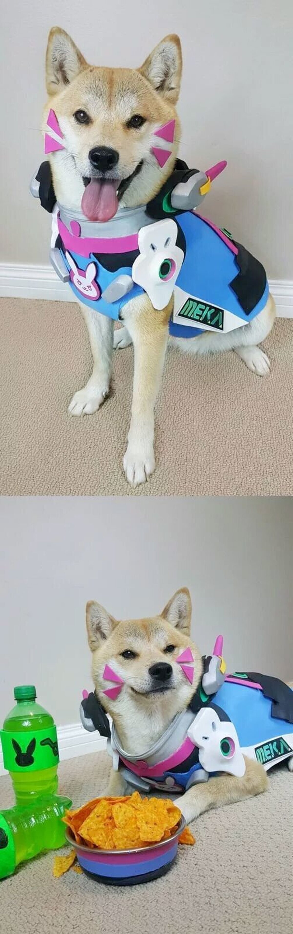 La D.Va más adorable que verás hoy