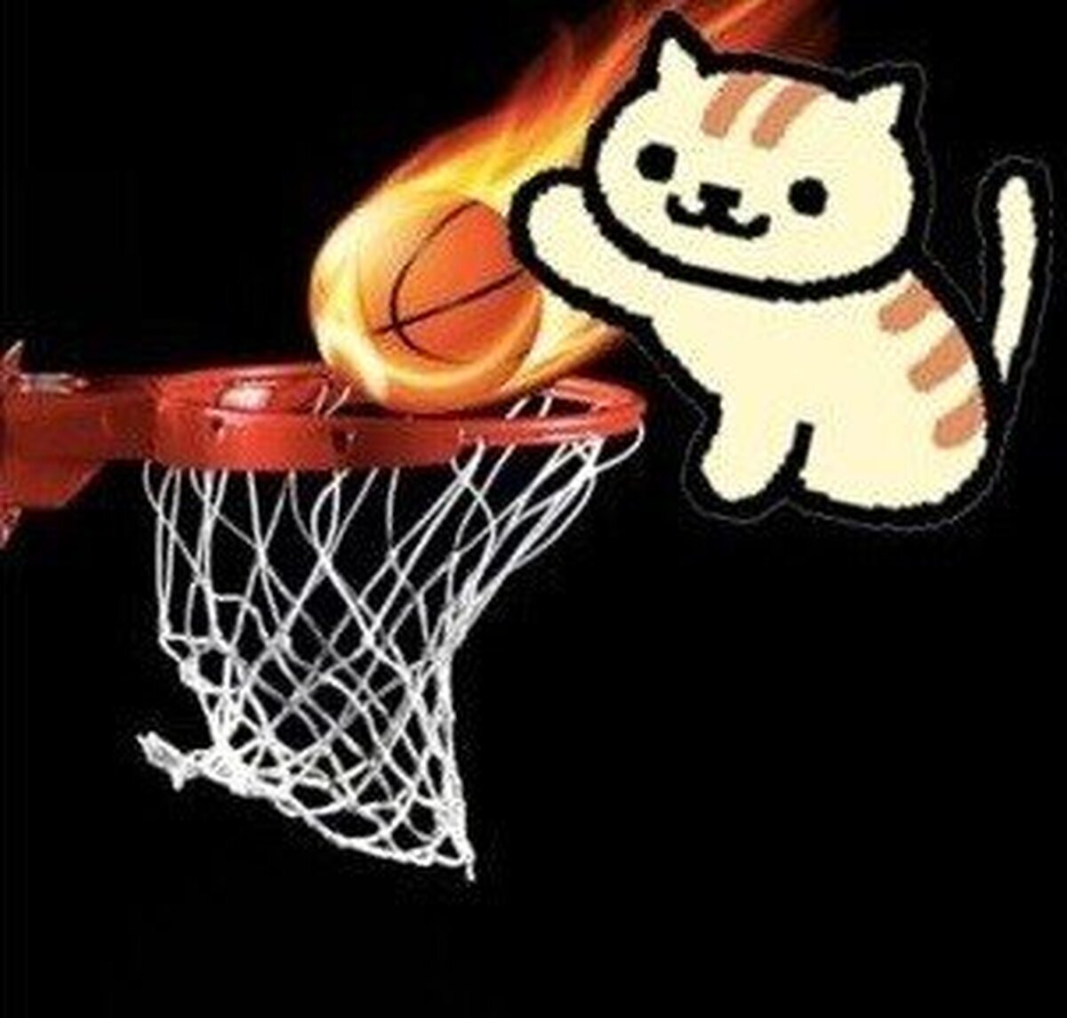 Neko atsume a cambiado mucho desde la última vez que lo jugué...