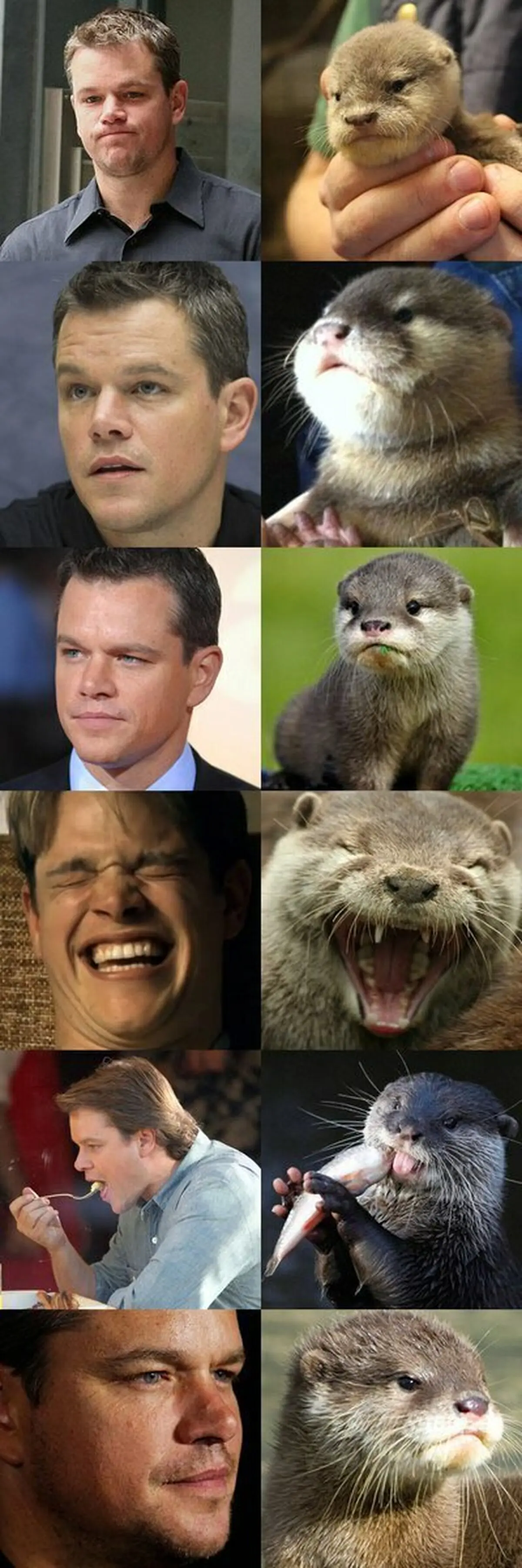 La galería que demuestra que Matt Damon es una nutria