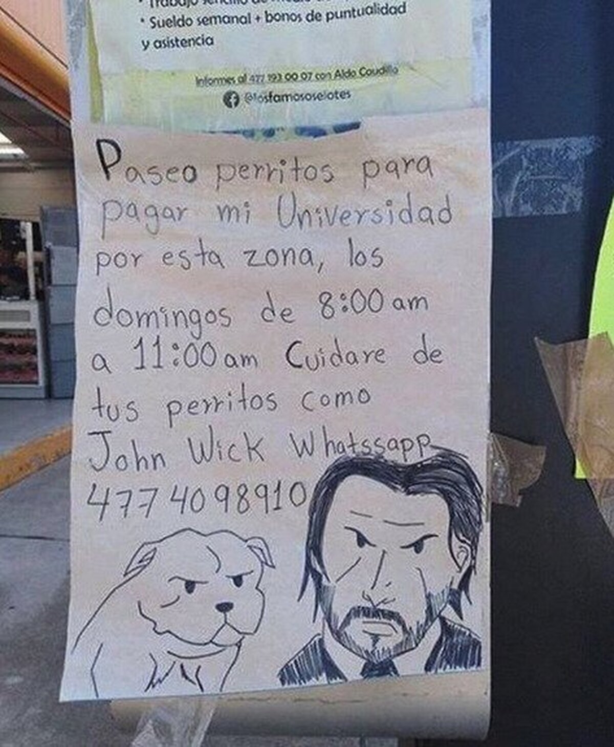Espero que los cuide mejor ue John