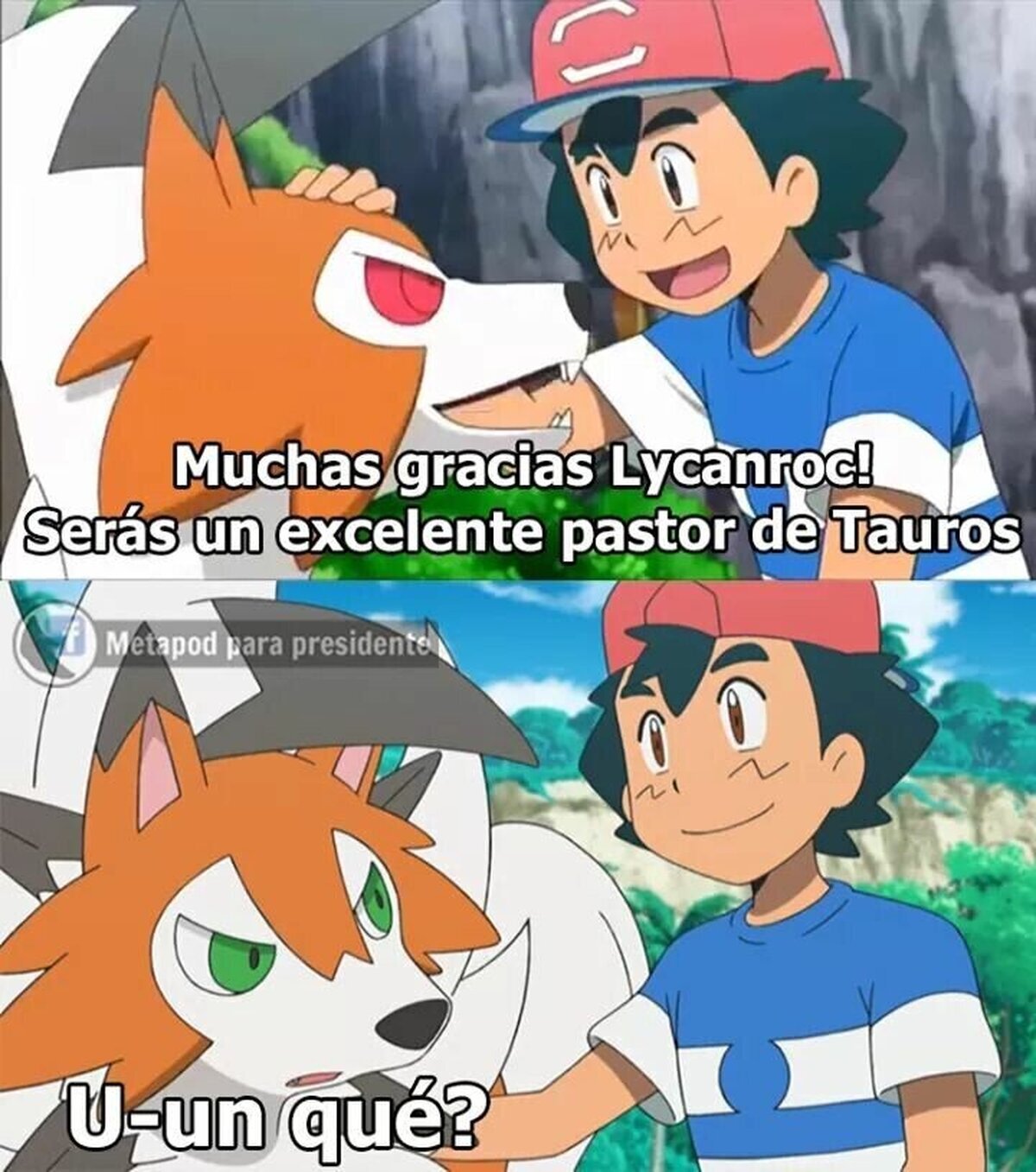 Nadie se salva del Rancho de Oak