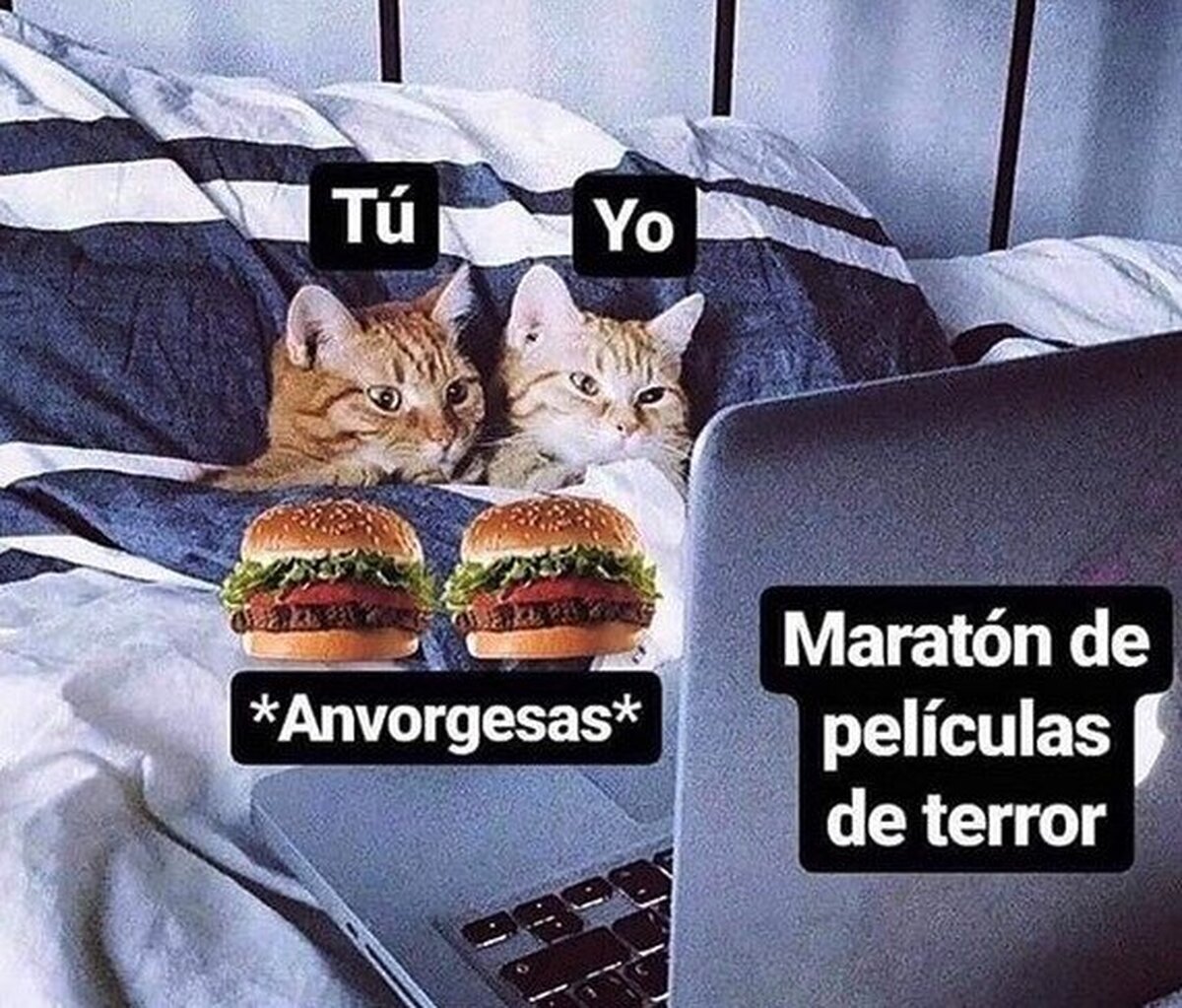 El plan perfecto. Por Calavera no llora