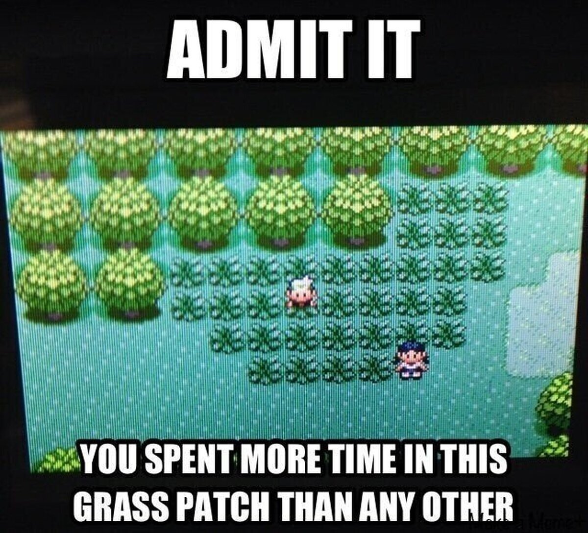 Lo que sea para encontrar un Ralts