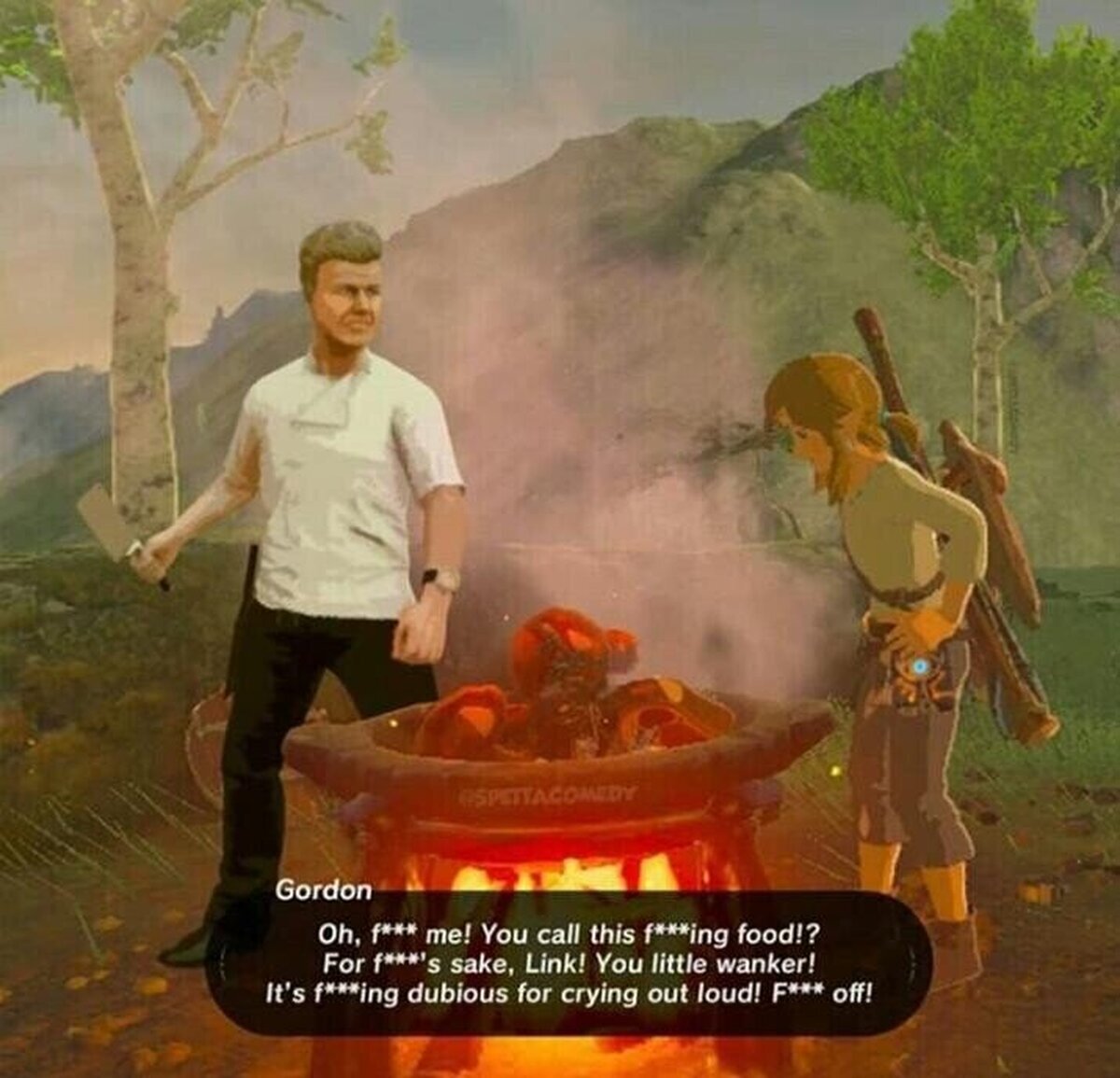 Gordon no tiene compasión por el modo de cocinar de Link 