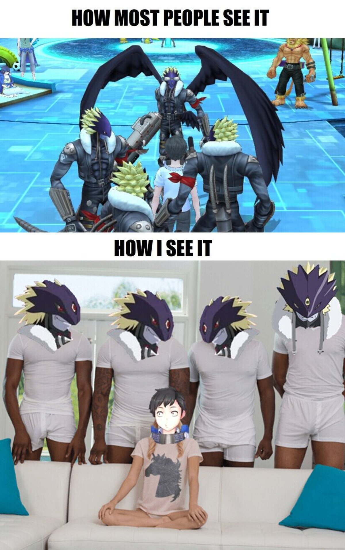 El problema de tener al mismo digimon/pokemon varias veces en tu equipo