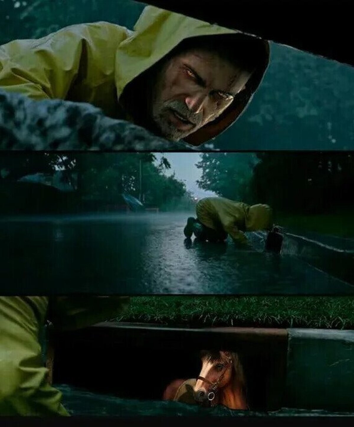 ¿Se puede saber cómo te has metido ahí?