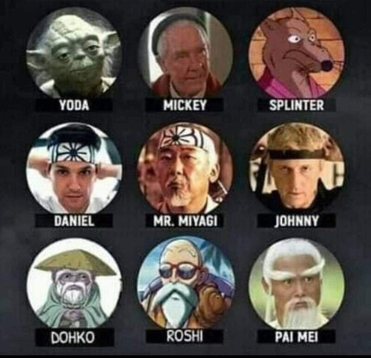 Elige a tu sensei