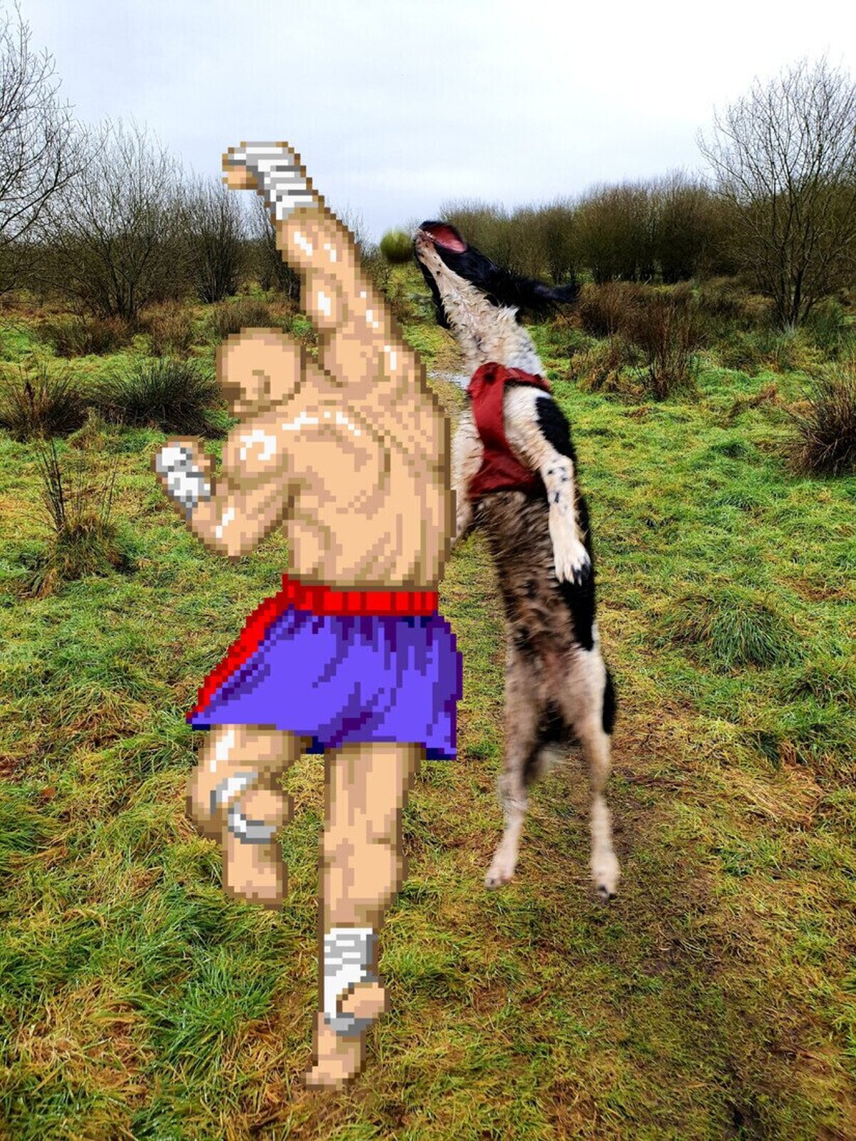 Le han quitado el frisbee con photoshop para añadir a Sagat