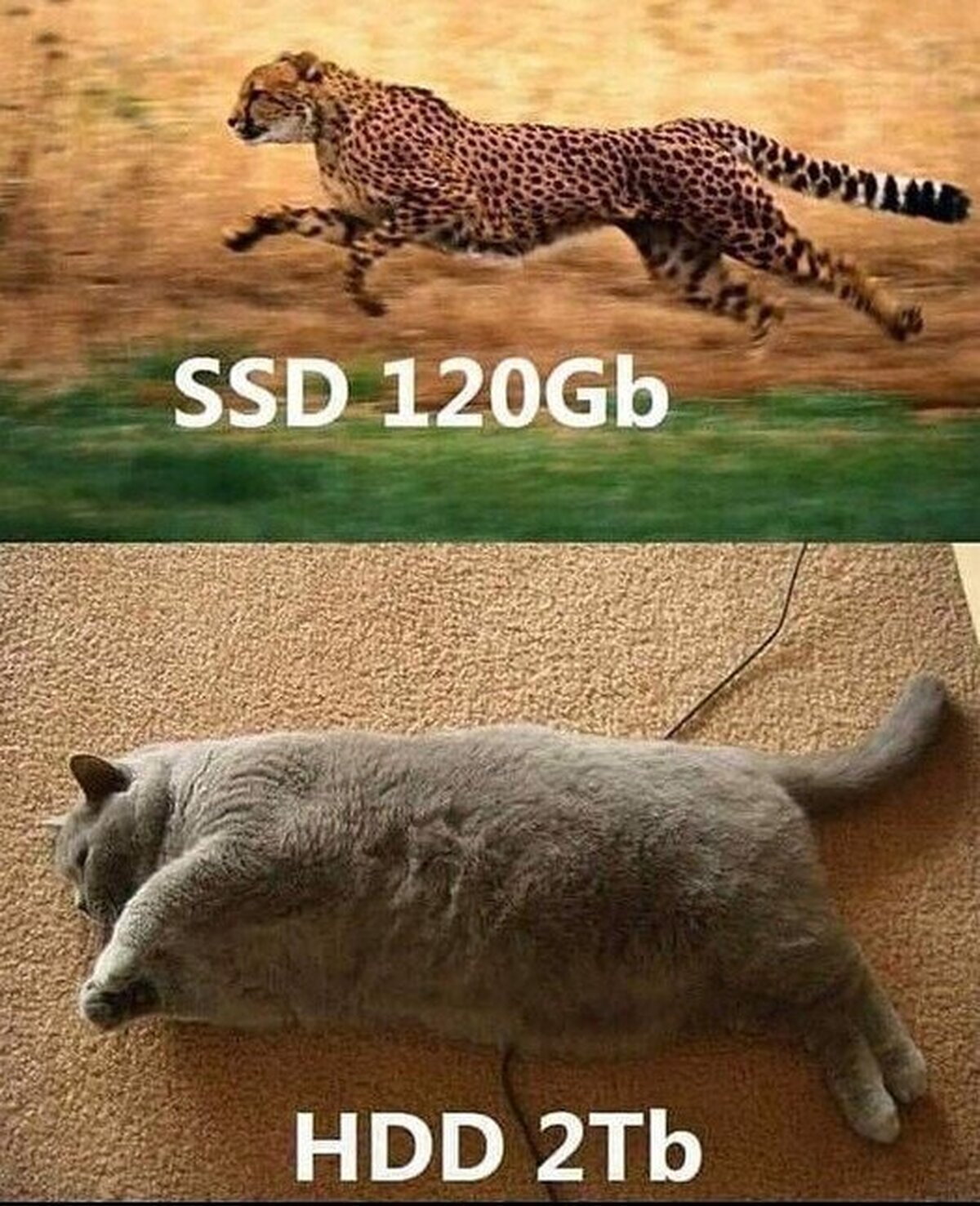 Por eso es mejor tener los dos