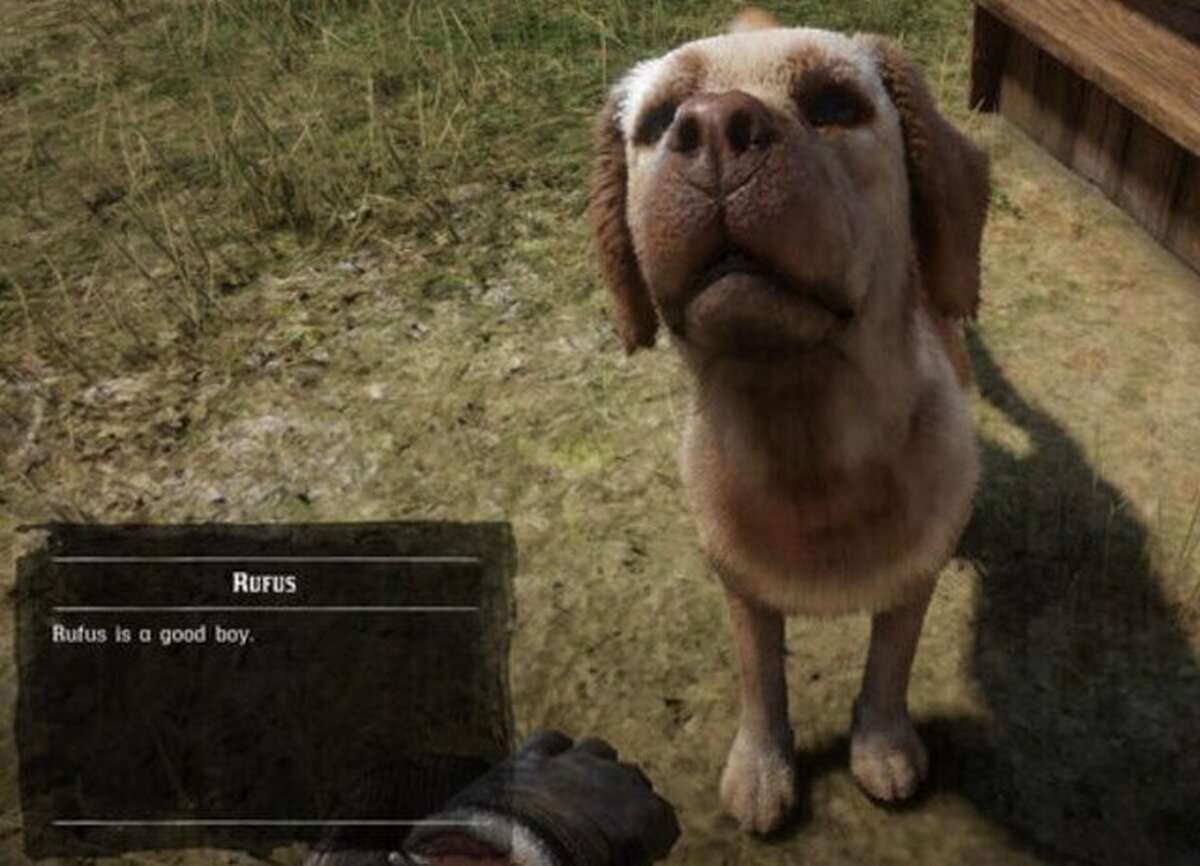 La mejor descripción que he visto en un videojuego 