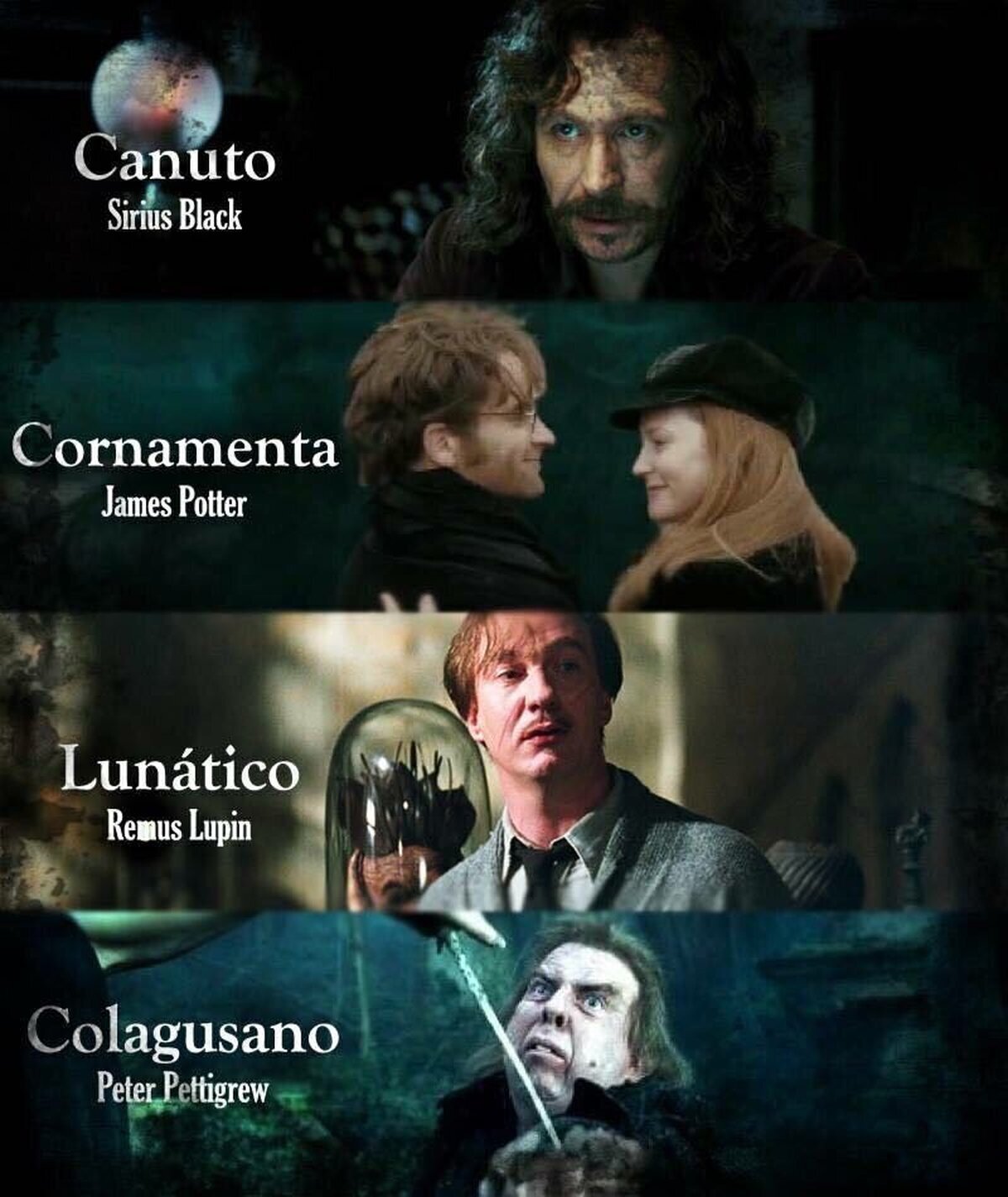 Ojalá una película sobre los Merodeadores 