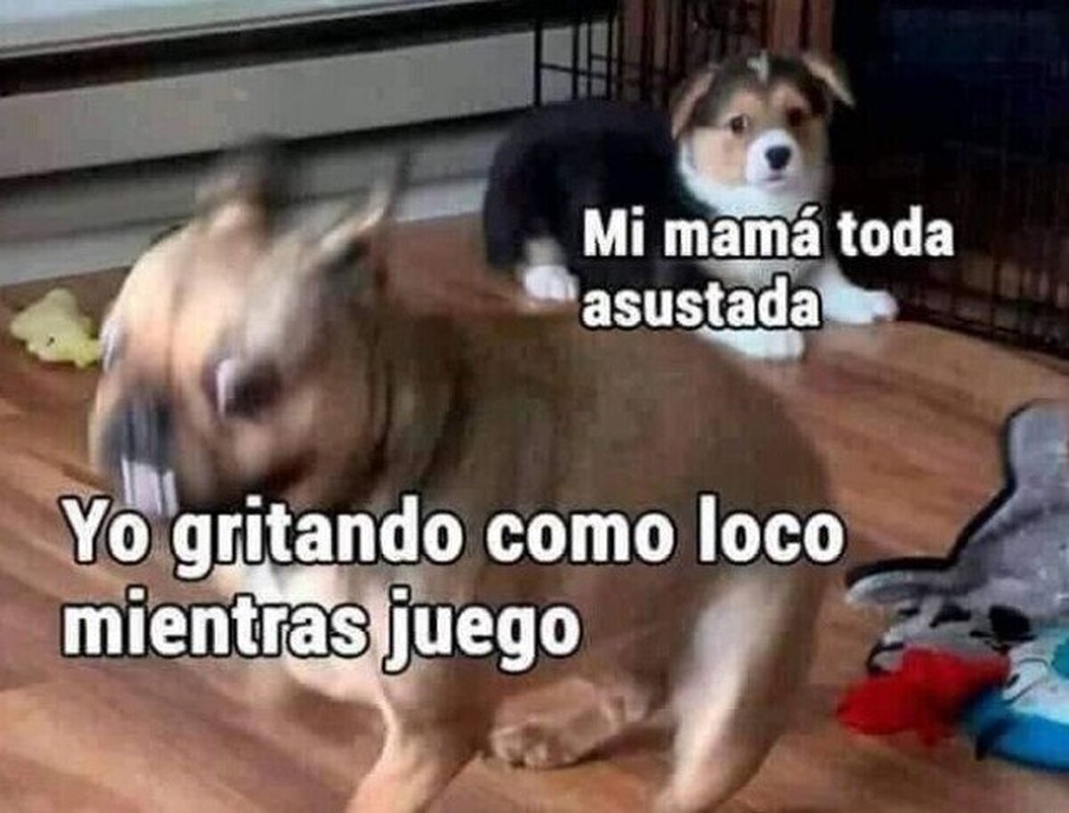 No chilléis en casa, porfa