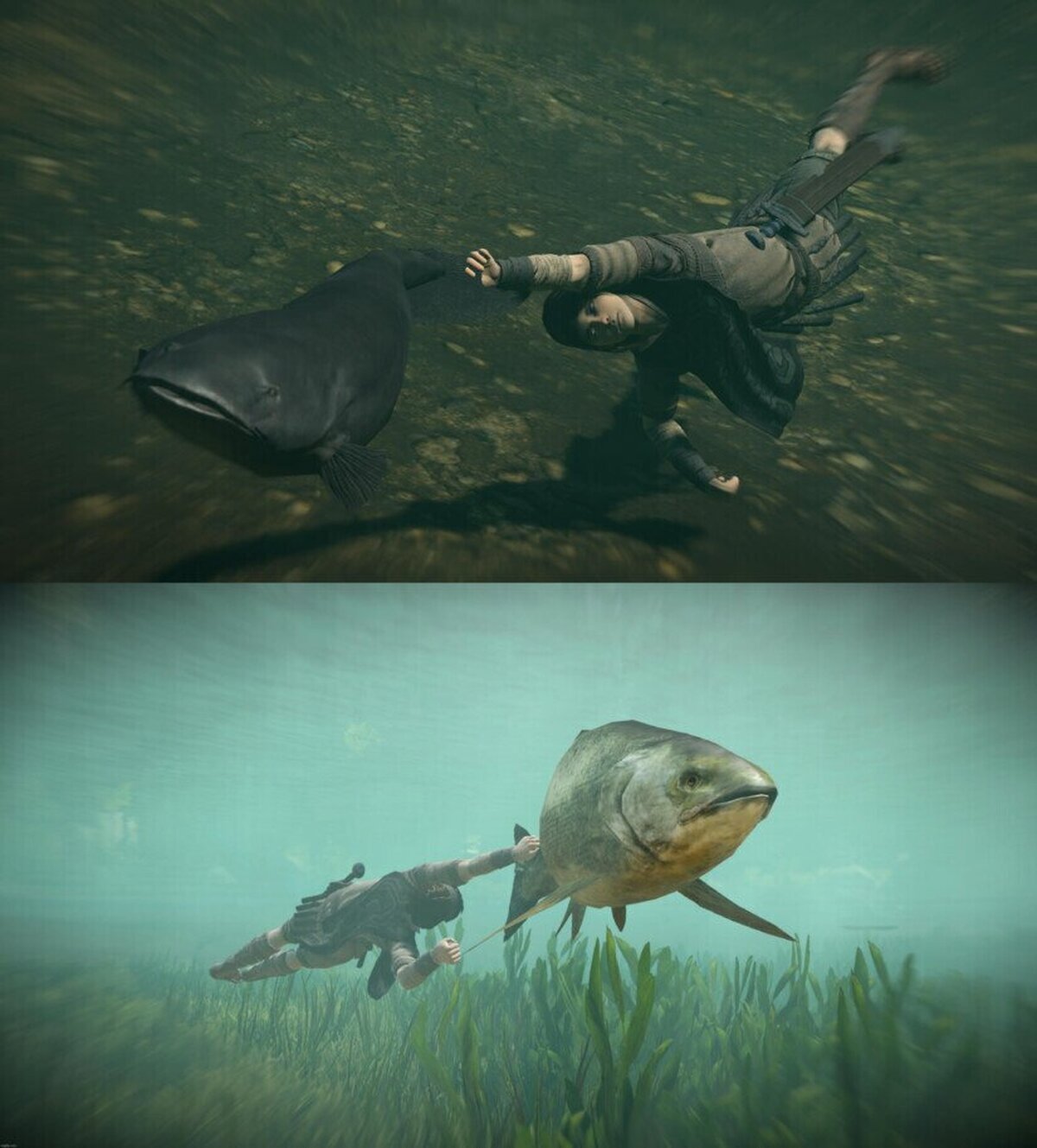 Poca gente sabe que esto se puede  hacer en Shadow of the Colossus