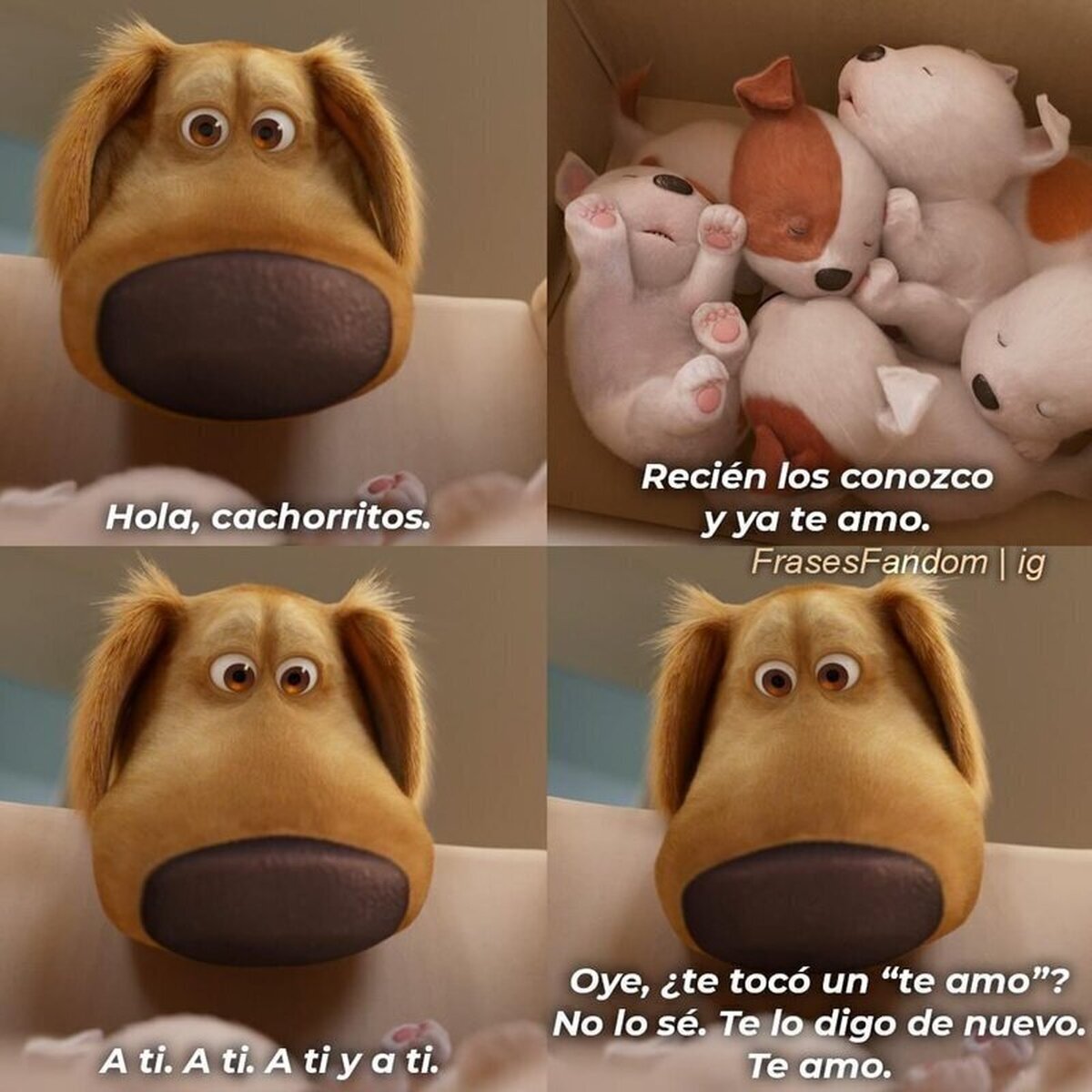 Yo en cualquier lugar con cualquier perrito que veo