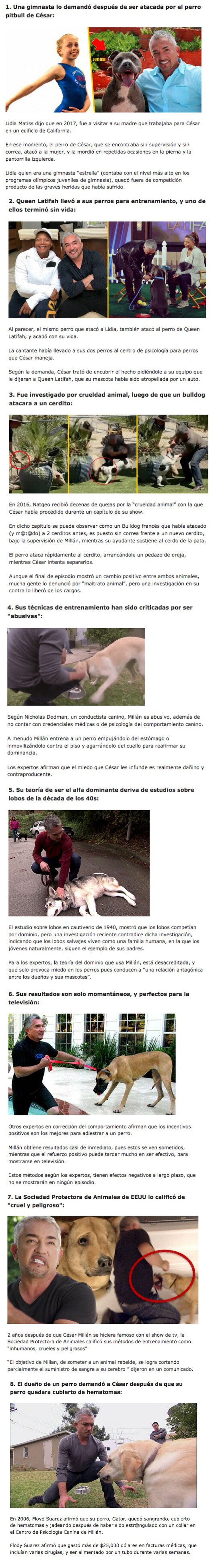 GALERÍA: 8 Escándalos protagonizados por César Millán, el encantador de perros