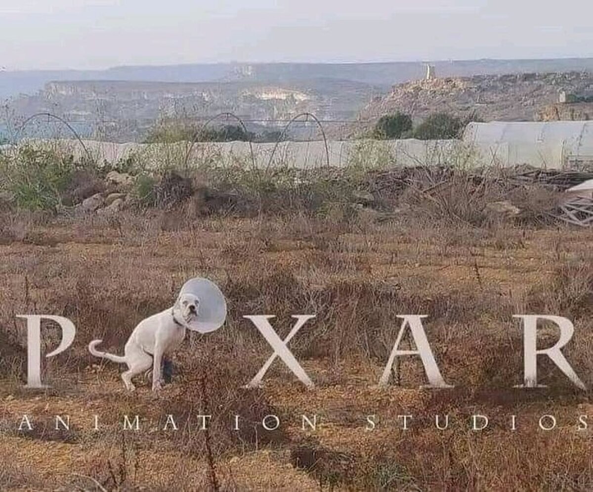 El Nuevo Logo de #Disney, ¿sabías que "pixar" en catalán significa "mear"?